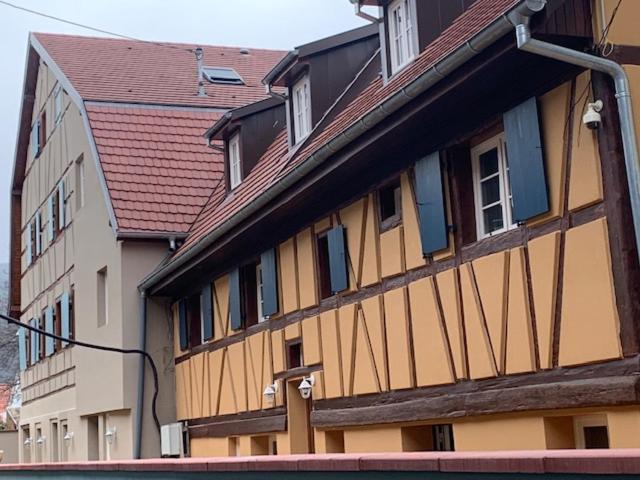 万泽内姆Coeur D'Alsace Colmar Vignobles Ouest Avec Terrasses别墅 外观 照片