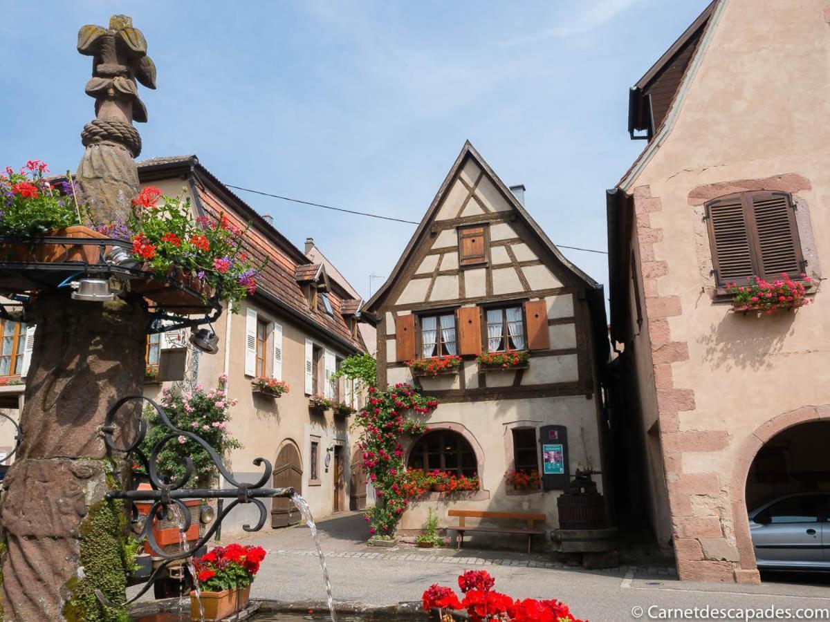 万泽内姆Coeur D'Alsace Colmar Vignobles Ouest Avec Terrasses别墅 外观 照片