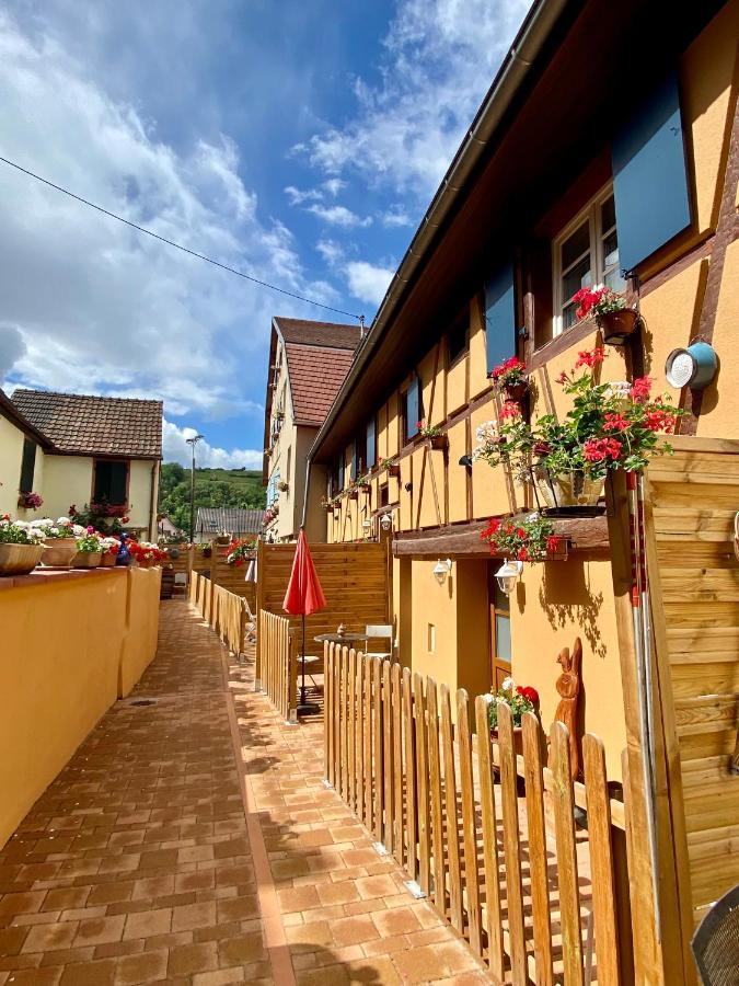 万泽内姆Coeur D'Alsace Colmar Vignobles Ouest Avec Terrasses别墅 外观 照片