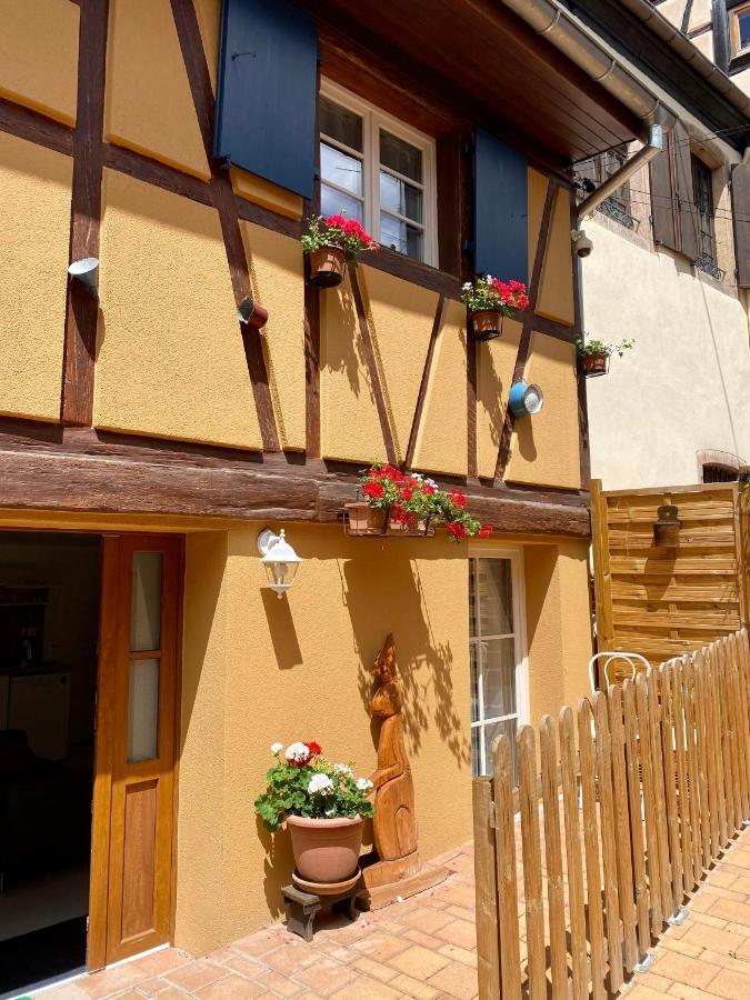 万泽内姆Coeur D'Alsace Colmar Vignobles Ouest Avec Terrasses别墅 外观 照片
