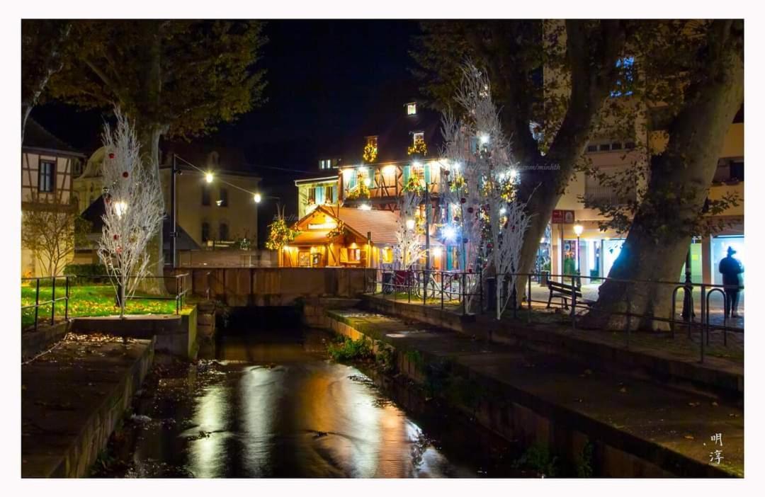 万泽内姆Coeur D'Alsace Colmar Vignobles Ouest Avec Terrasses别墅 外观 照片