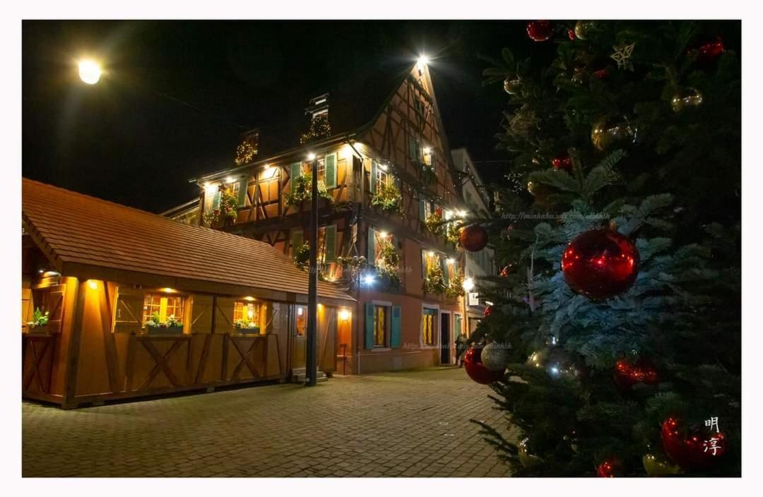 万泽内姆Coeur D'Alsace Colmar Vignobles Ouest Avec Terrasses别墅 外观 照片