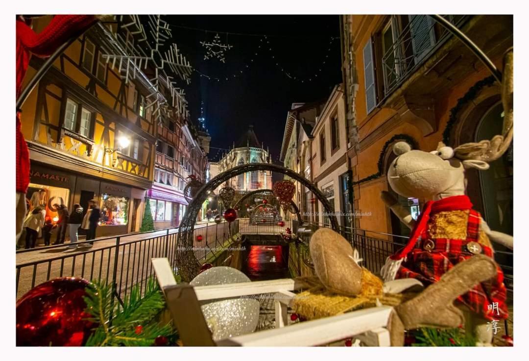 万泽内姆Coeur D'Alsace Colmar Vignobles Ouest Avec Terrasses别墅 外观 照片