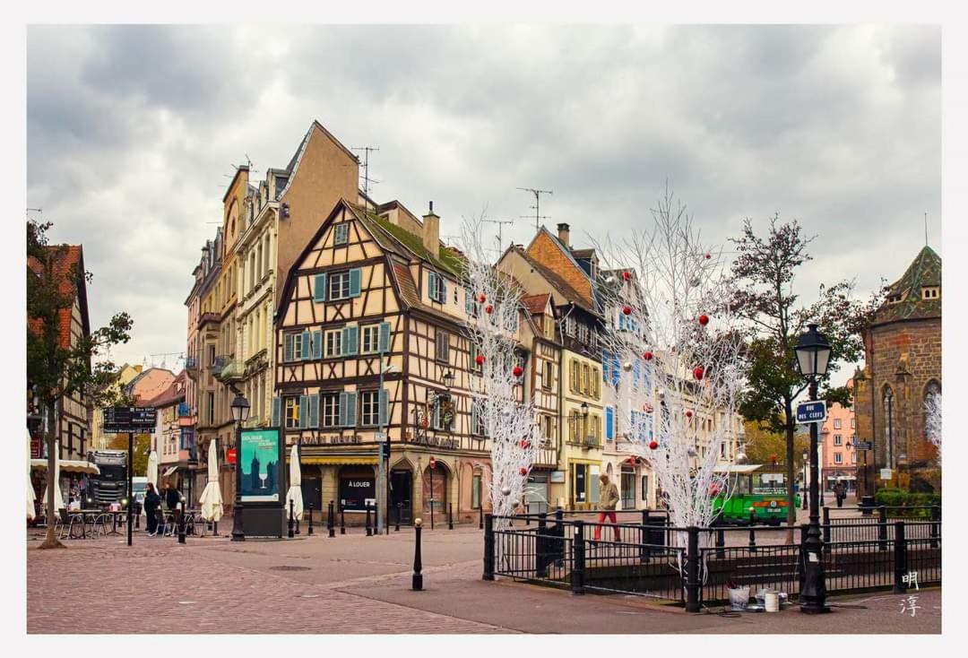 万泽内姆Coeur D'Alsace Colmar Vignobles Ouest Avec Terrasses别墅 外观 照片