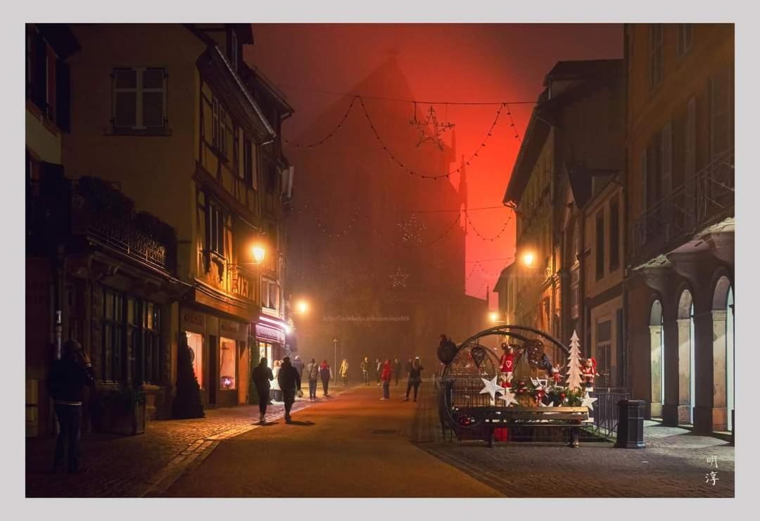 万泽内姆Coeur D'Alsace Colmar Vignobles Ouest Avec Terrasses别墅 外观 照片